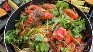 commercial redclaw crayfish farming opportunities