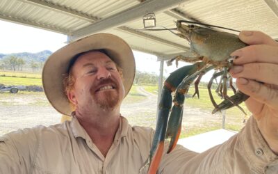 Why Buying From a Licensed Redclaw Farm in Australia Matters