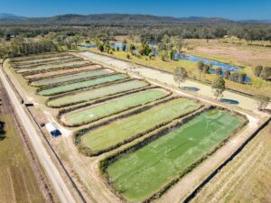 Barron River Redclaw Aquaculture Investment Opportunities 