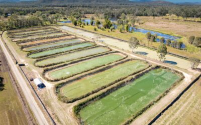 Queensland Aquaculture Investment Opportunities: Sustainable Redclaw Crayfish Farming in Far North Queensland