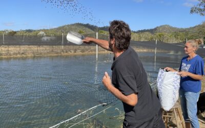 Aquaculture Feed Conversion Ratio (FCR): The Number 1 priority in Aquaculture Profitability