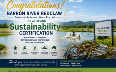 Barron River Redclaw Achieves Sustainable Certification in Australian Redclaw Crayfish Farming