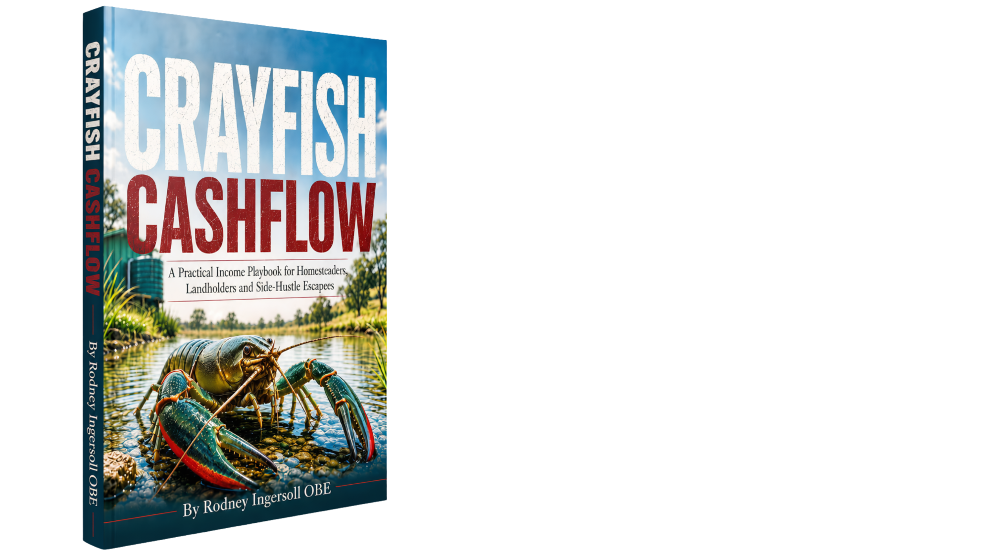 crayfish cashflow- ebook