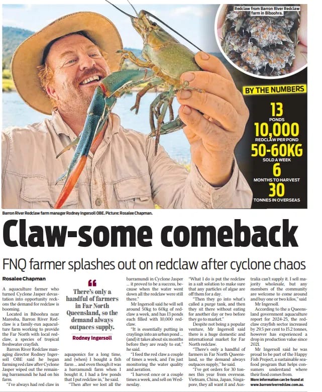 redclaw feature article- Cairns Post